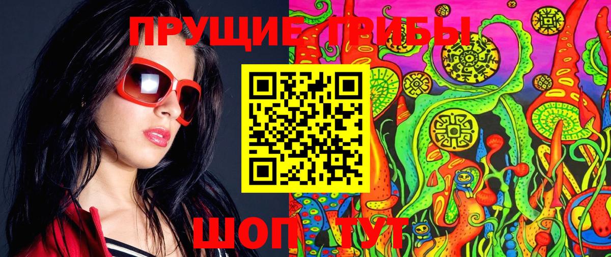 Галлюциногенные грибы Psilocybine cubensis Ессентуки